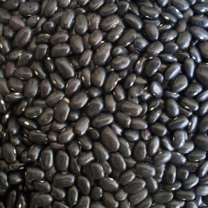 Organic Black Turtle Bean Uncooked Aus grown