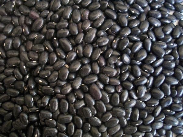 Organic Black Turtle Bean Uncooked Aus grown