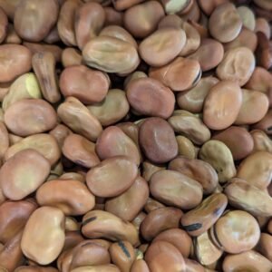 ORGANIC Broad Beans Uncooked Aus grown