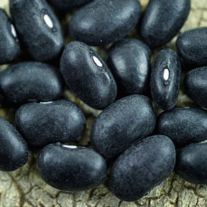 ORGANIC Black Turtle Bean Uncooked Aus grown