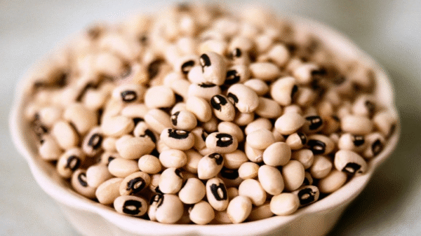 ORGANIC Black Eye Bean Uncooked Aus grown