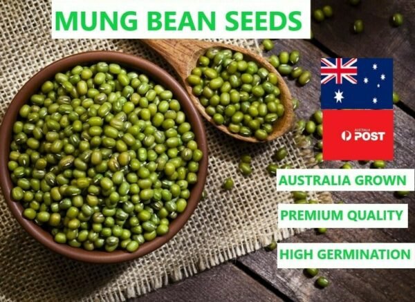 ORGANIC MUNG BEAN SEEDS High Germination Rate Top Quality Sprout Veg Aus grown - Image 2