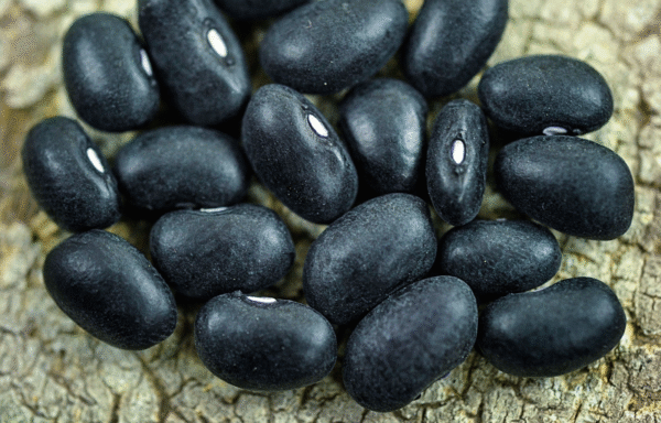 ORGANIC Black Turtle Bean Uncooked Aus grown
